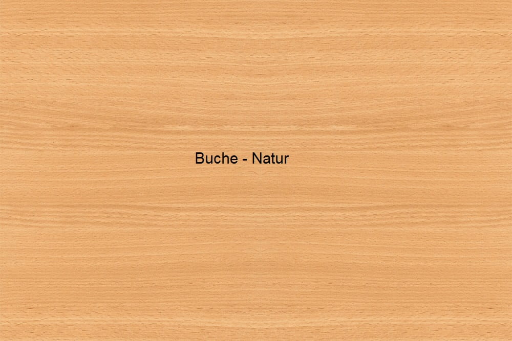 Pflegebett Burmeier Regia Easy-Switch