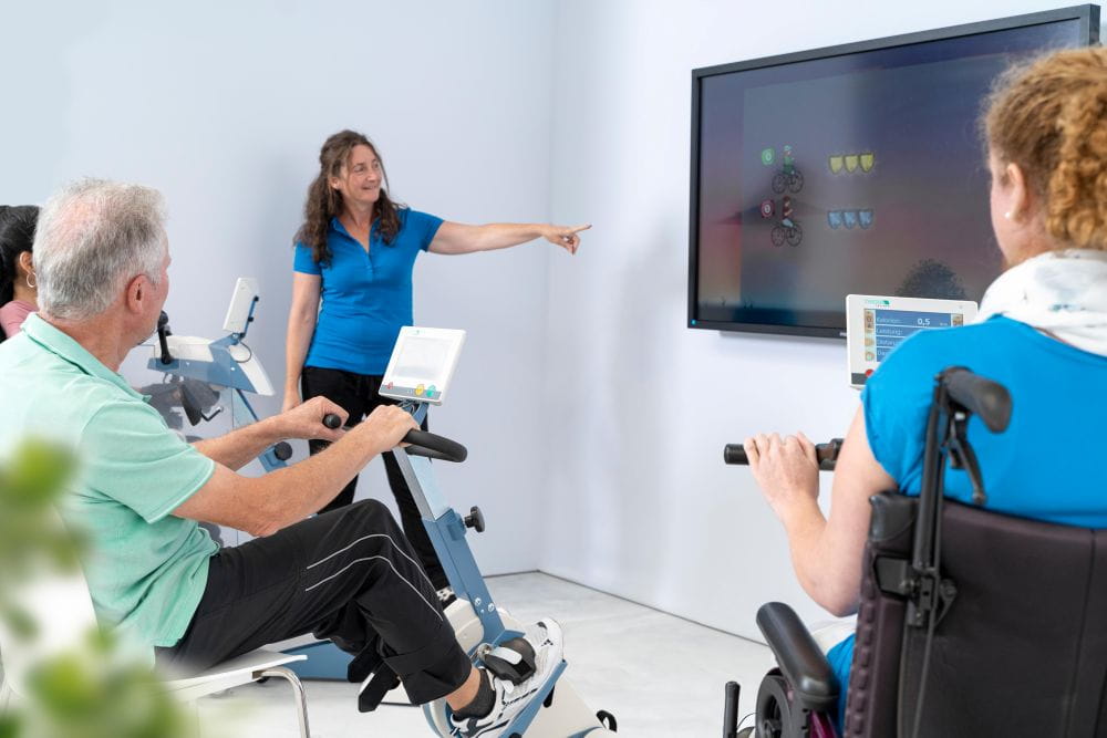 THERA-Trainer, THERA-soft, Aktives Training vor Bildschirm, spielerisches Training